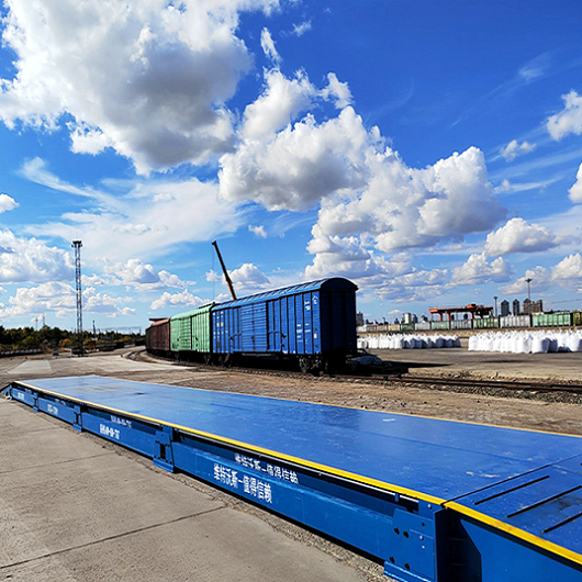 Digitale tragbare Lkw -Skalen