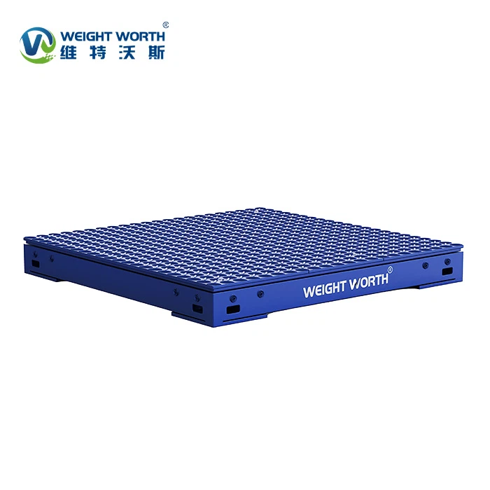 Floor Scales With Pit Frames