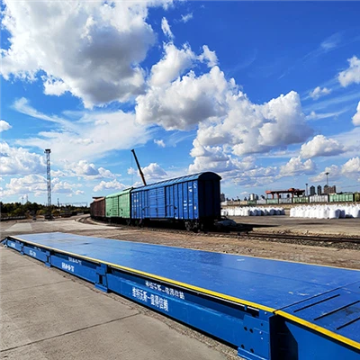 Digitale tragbare Lkw -Skalen